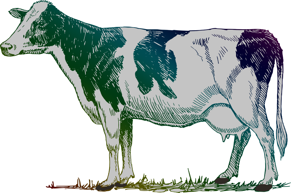 Illustrated Cow