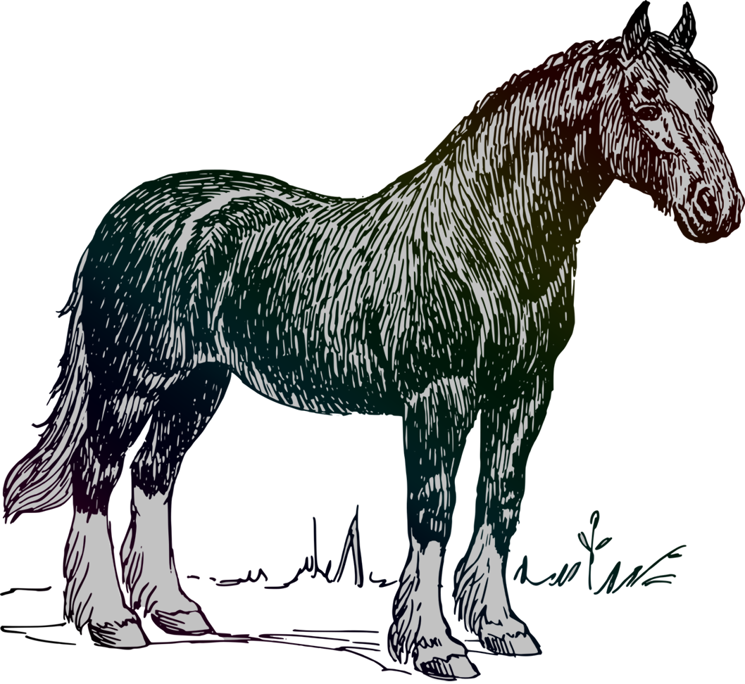 Illustrated Work horse