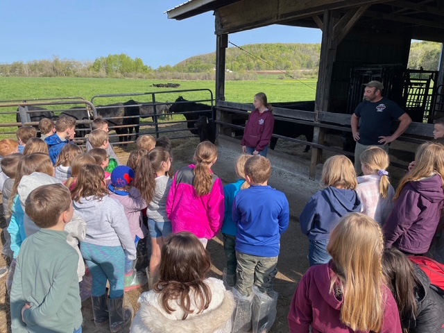 Alysa and Jeff teaching kids about caring for Angus cattle