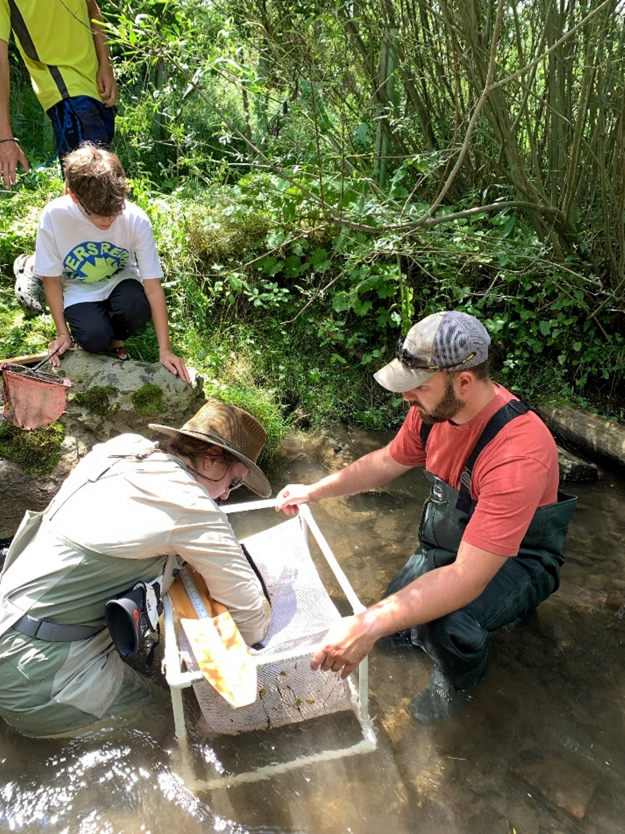 Trout survey at Telaak Farm